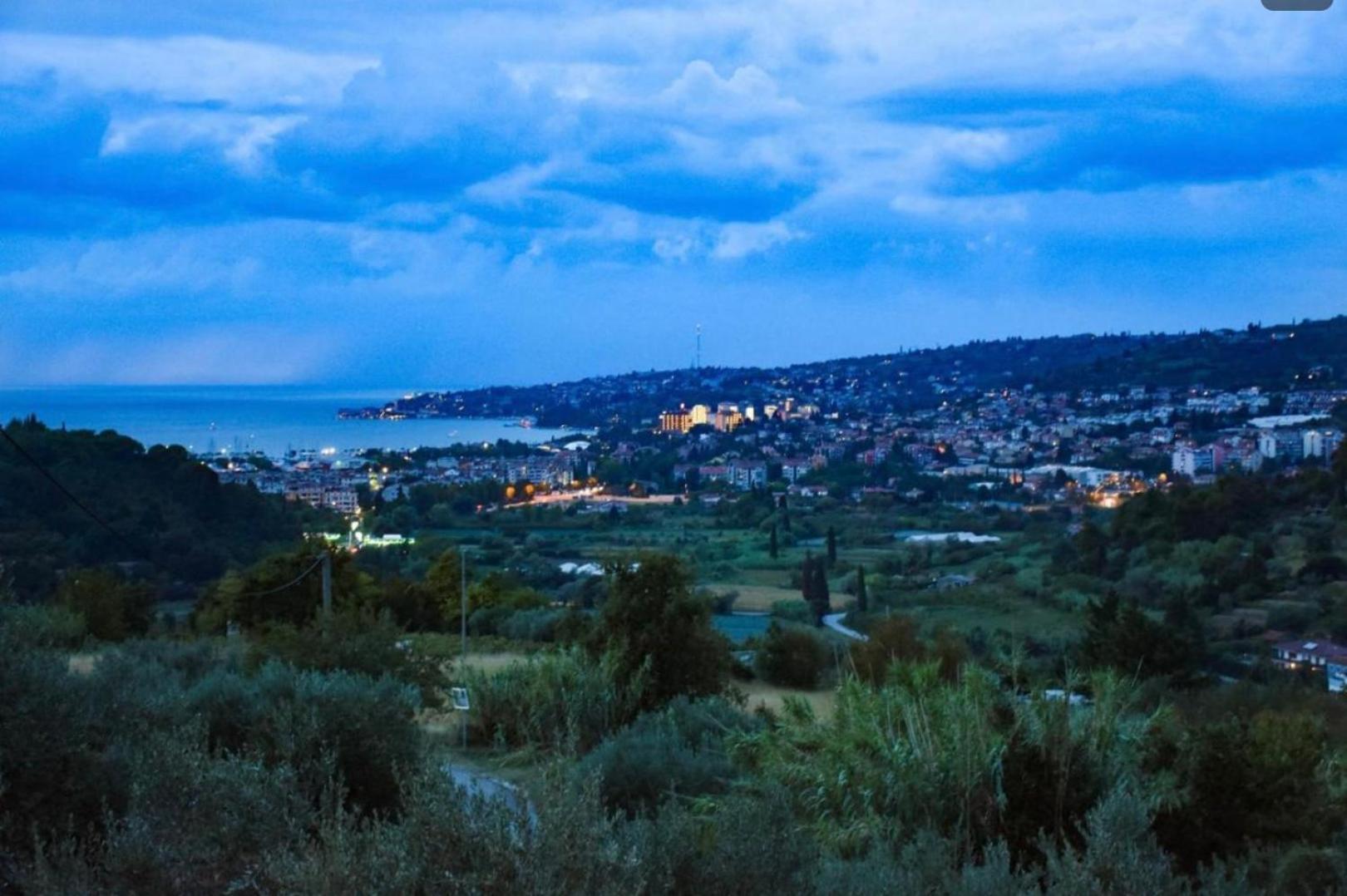 Apartma Med Oljkami Spodnji Portorož Exterior foto